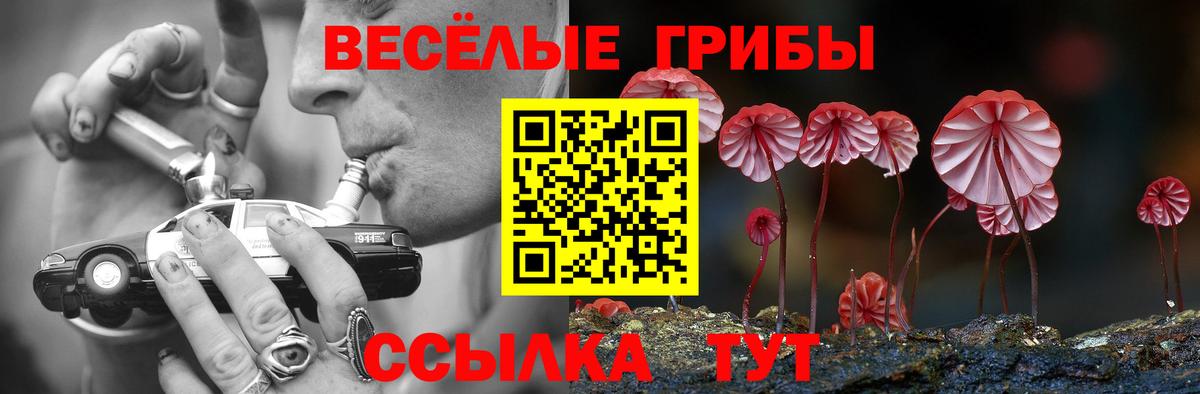 Йошкар-Ола  Псилоцибиновые грибы Psilocybine cubensis  купить закладку  Вход с VPN 